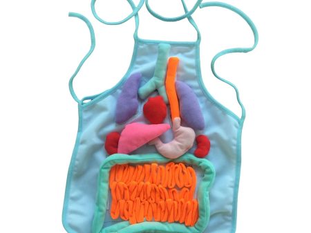 3D Organ Apron Science Children Learning Apron for School Viscera Body Parts blue Online Hot Sale