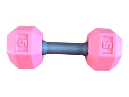 Kids Arm Hand Weights Dumbbell Barbell Toys for Age 3 4 5 6 7 8 Kindergarten Pink Online Hot Sale