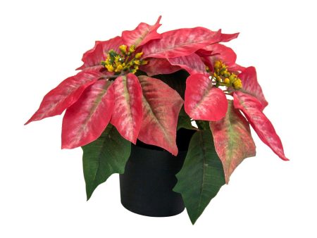 Christmas Artificial Poinsettia Plant Realistic for Festival Window Tabletop Style C Online now