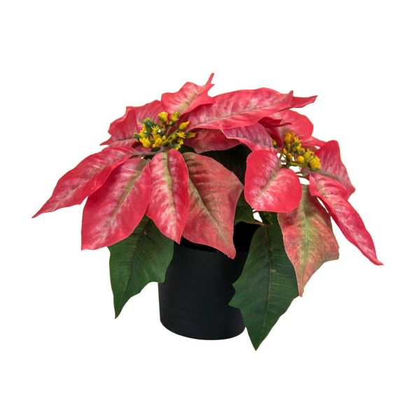 Christmas Artificial Poinsettia Plant Realistic for Festival Window Tabletop Style C Online now