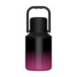 Insulated Water Bottle Portable Gift with Handle for Outdoor Fishing Cycling Black Pink Online Sale